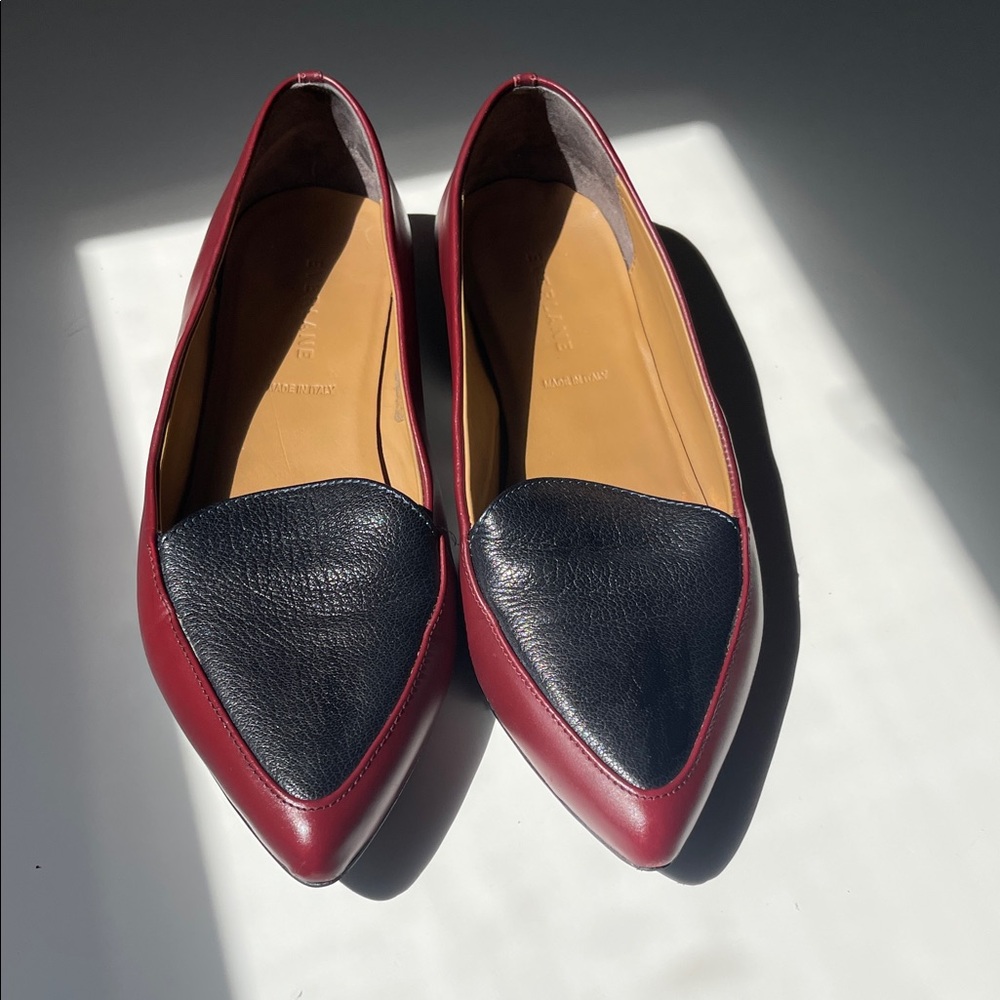 Everlane Two-Tone Pointed Leather Flats in Red and Black